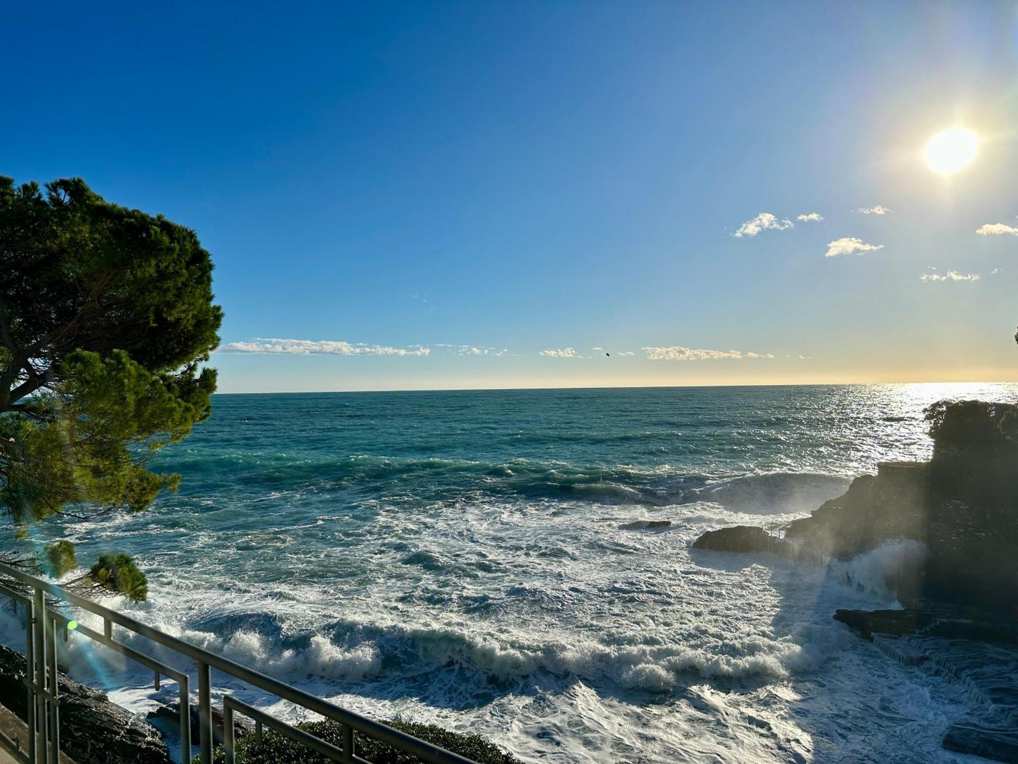 La Terrazza Sul Mare Apartment Zoagli Exterior photo
